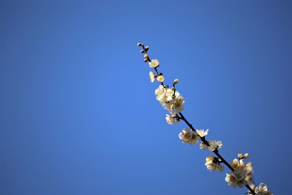 何のために「働く」のか？