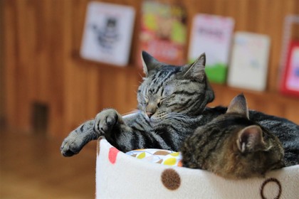 すでに「バレて」いるから…