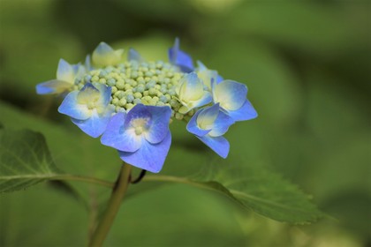 子供への「言葉かけ」