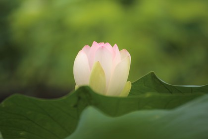 本当に、本当に、本当に「大切なこと」
