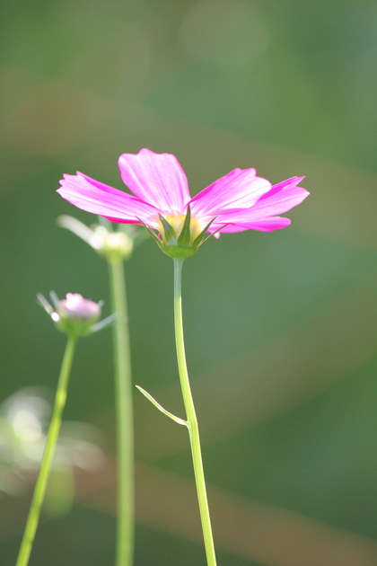 まわりの「目」