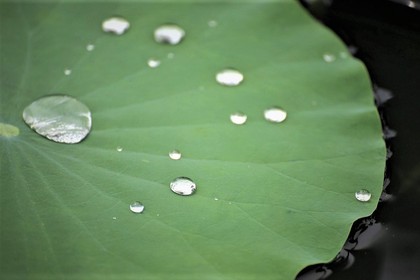 涙は「心のリセット」