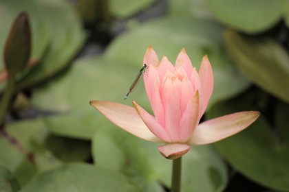 自分頼みの「時代」